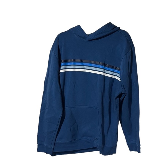 GAP Men’s Hoodie Blue Striped Size XXL - Picture 1 of 5